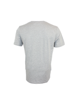 Grey reflective logo
