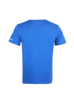 Royal blue logo